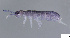  ( - FINCO-2020-0081)  @11 [ ] by-nc (2020) Inkeri Markkula University of Turku
