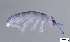  ( - FINCO-2020-0082)  @11 [ ] by-nc (2020) Inkeri Markkula University of Turku