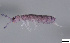  ( - FINCO-2020-0121)  @11 [ ] by-nc (2020) Inkeri Markkula University of Turku