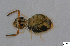  ( - FINCO-2020-0196)  @11 [ ] by-nc (2021) Inkeri Markkula University of Turku