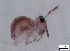  ( - FINCO-2020-0243)  @11 [ ] by-nc (2021) Inkeri Markkula University of Turku