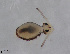  ( - FINCO-2020-0444)  @11 [ ] by-nc (2021) Inkeri Markkula University of Turku