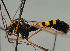  ( - JES-20110436)  @13 [ ] Unspecified (default): All Rights Reserved  Unspecified Unspecified