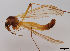  ( - JES-20120018)  @12 [ ] Unspecified (default): All Rights Reserved  Unspecified Unspecified
