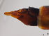  (Phoroctenia - JES-20120028)  @13 [ ] Unspecified (default): All Rights Reserved  Unspecified Unspecified