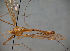  ( - JES-20120049)  @12 [ ] Unspecified (default): All Rights Reserved  Unspecified Unspecified