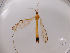  (Phylidorea umbrarum - JES-20120078)  @13 [ ] Unspecified (default): All Rights Reserved  Unspecified Unspecified