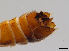  ( - JES-20120088)  @12 [ ] Unspecified (default): All Rights Reserved  Unspecified Unspecified