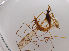  ( - JES-20120121)  @12 [ ] Unspecified (default): All Rights Reserved  Unspecified Unspecified
