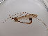  ( - JES-20120135)  @12 [ ] Unspecified (default): All Rights Reserved  Unspecified Unspecified