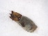  ( - A12_ornatumgr)  @12 [ ] Unspecified (default): All Rights Reserved  Unspecified Unspecified
