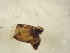  ( - A12_ornatumgr)  @12 [ ] Unspecified (default): All Rights Reserved  Unspecified Unspecified
