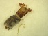  ( - A8_ornatumgr)  @12 [ ] Unspecified (default): All Rights Reserved  Unspecified Unspecified