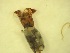 ( - A8_ornatumgr)  @12 [ ] Unspecified (default): All Rights Reserved  Unspecified Unspecified