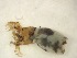  ( - E5_ornatumgr)  @12 [ ] Unspecified (default): All Rights Reserved  Unspecified Unspecified