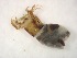 ( - E5_ornatumgr)  @12 [ ] Unspecified (default): All Rights Reserved  Unspecified Unspecified