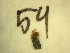  ( - E6_ornatumgr)  @12 [ ] Unspecified (default): All Rights Reserved  Unspecified Unspecified
