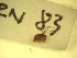  ( - E1_Simulium_ornatum_gr)  @12 [ ] Unspecified (default): All Rights Reserved  Unspecified Unspecified