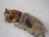  ( - A6_ornatumgr)  @12 [ ] Unspecified (default): All Rights Reserved  Unspecified Unspecified