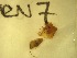  ( - A7_ornatumgr)  @12 [ ] Unspecified (default): All Rights Reserved  Unspecified Unspecified