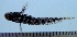  ( - FIP-15)  @14 [ ] CreativeCommons - Attribution Non-Commercial Share-Alike (2015) Martha Valdez-Moreno El Colegio de la Frontera Sur