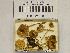  ( - H6042288)  @11 [ ] CreativeCommons - Attribution Non-Commercial Share-Alike (2013) Balint Dima Botanical Museum, Finnish Museum of Natural History, University of Helsinki