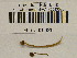  (Psilocybe cf. phyllogena - H6043028)  @11 [ ] CreativeCommons - Attribution Non-Commercial Share-Alike (2013) Balint Dima Botanical Museum, Finnish Museum of Natural History, University of Helsinki
