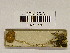  ( - H6043029)  @11 [ ] CreativeCommons - Attribution Non-Commercial Share-Alike (2013) Balint Dima Botanical Museum, Finnish Museum of Natural History, University of Helsinki