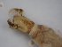  ( - JI-BOLD-31)  @11 [ ] Unspecified (default): All Rights Reserved  Unspecified Unspecified
