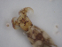  ( - JI-BOLD-32)  @11 [ ] Unspecified (default): All Rights Reserved  Unspecified Unspecified