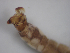  ( - JI-BOLD-33)  @11 [ ] Unspecified (default): All Rights Reserved  Unspecified Unspecified