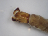  ( - JI-BOLD-37)  @12 [ ] Unspecified (default): All Rights Reserved  Unspecified Unspecified
