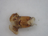  ( - JI-BOLD-40)  @12 [ ] Unspecified (default): All Rights Reserved  Unspecified Unspecified