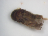  ( - JI-BOLD-48)  @12 [ ] Unspecified (default): All Rights Reserved  Unspecified Unspecified