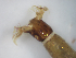  ( - JI-BOLD-128)  @12 [ ] Unspecified (default): All Rights Reserved  Unspecified Unspecified