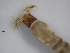  ( - JI-BOLD-141)  @12 [ ] Unspecified (default): All Rights Reserved  Unspecified Unspecified