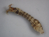  ( - JI-BOLD-143)  @12 [ ] Unspecified (default): All Rights Reserved  Unspecified Unspecified