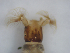  ( - JI-BOLD-143)  @12 [ ] Unspecified (default): All Rights Reserved  Unspecified Unspecified