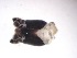  ( - JI-BOLD-300)  @12 [ ] Unspecified (default): All Rights Reserved  Unspecified Unspecified