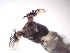  ( - JI-BOLD-301)  @12 [ ] Unspecified (default): All Rights Reserved  Unspecified Unspecified