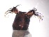  ( - JI-BOLD-302)  @12 [ ] Unspecified (default): All Rights Reserved  Unspecified Unspecified