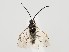 ( - ZMUO.059535)  @11 [ ] by-nc (2022) Marko Mutanen University of Oulu