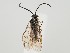 ( - ZMUO.059546)  @11 [ ] by-nc (2022) Marko Mutanen University of Oulu