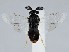  ( - ZMUO.058581)  @14 [ ] by-nc (2022) Marko Mutanen University of Oulu