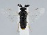  ( - ZMUO.058582)  @11 [ ] by-nc (2022) Marko Mutanen University of Oulu