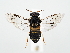  ( - ZMUO.058585)  @11 [ ] by-nc (2022) Marko Mutanen University of Oulu