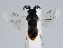  ( - ZMUO.058587)  @11 [ ] by-nc (2022) Marko Mutanen University of Oulu