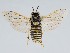  ( - ZMUO.062375)  @11 [ ] by-nc (2022) Marko Mutanen University of Oulu