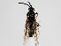  ( - ZMUO.058668)  @11 [ ] by-nc (2022) Marko Mutanen University of Oulu
