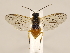  ( - ZMUO.029449.1)  @11 [ ] CreativeCommons - Attribution Non-Commercial (2018) Marko Mutanen University of Oulu